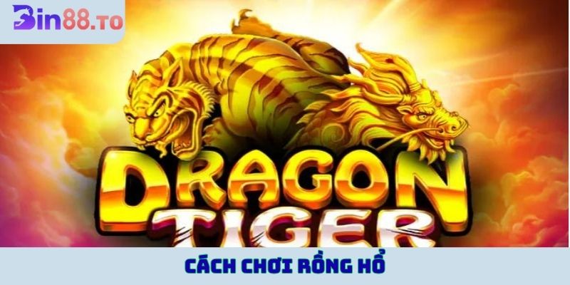 Cách chơi rồng hổ