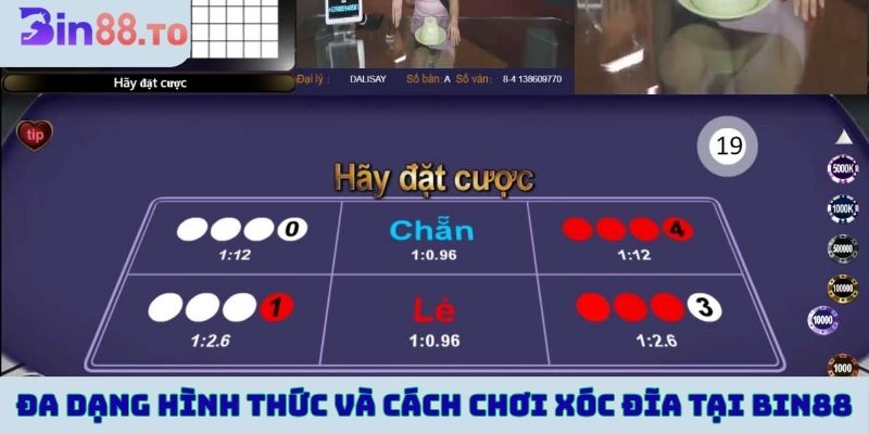 Đa dạng hình thức và cách chơi xóc đĩa tại Bin88