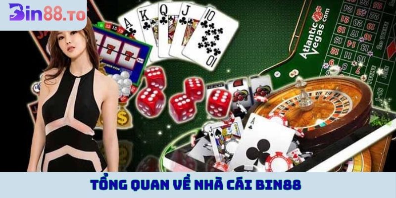 Tổng quan về nhà cái Bin88