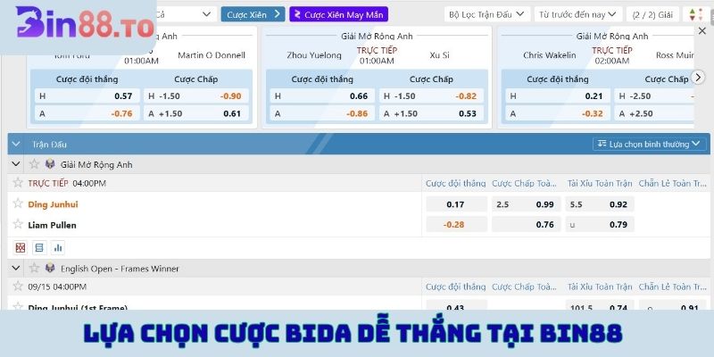 Lựa chọn cược Bida dễ thắng tại BIN88
