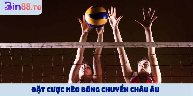 Đặt cược kèo châu Âu trong trận bóng chuyền