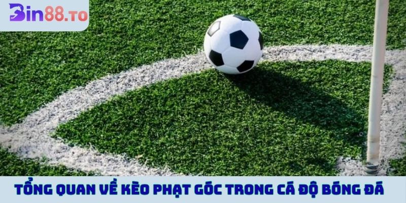 Tổng quan về kèo phạt góc trong cá độ bóng đá trực tuyến